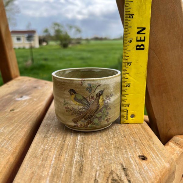 Moondog Proto-Pot C5