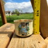 Moondog Proto-Pot D2