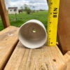 Moondog Proto-Pot C7 - Image 2