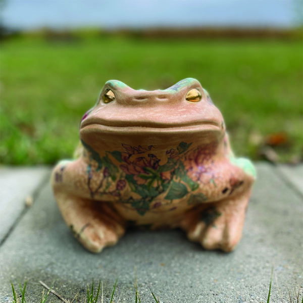 Jean-Claude the Frog - Image 2