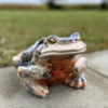 Frogger Jerry the Frog - Image 3