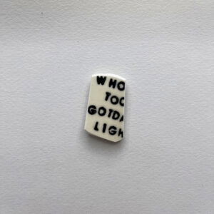 Who Took My Gotdam Lighter Shard Magnet