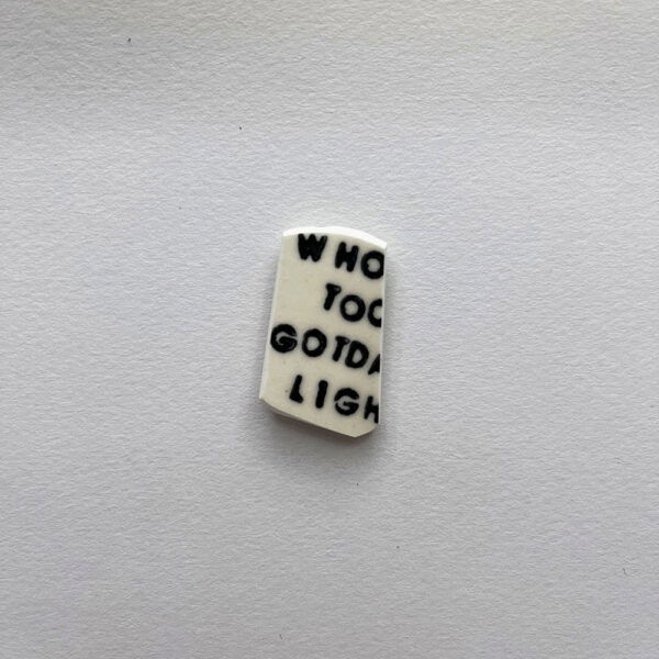 Who Took My Gotdam Lighter Shard Magnet