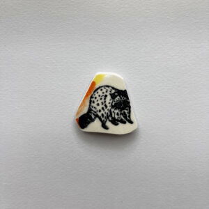 Raccoon Orange Shard Magnet