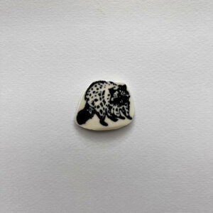 Raccoon Shard Magnet