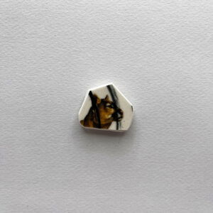 Cougar Shard Magnet
