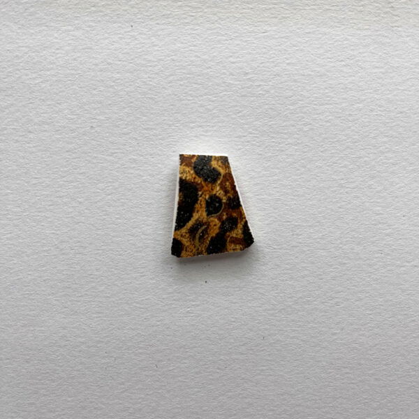 Cheetah Print Shard Magnet