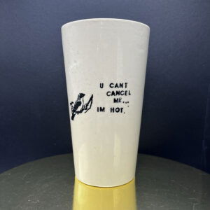 Pretty Privilege Tall Boi - 16 oz