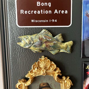 Green Flower Fish Magnet